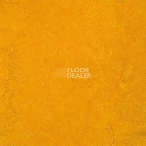 Линолеум Forbo Marmoleum Marbled Fresco 3125-312535 golden sunset фото 1 | FLOORDEALER